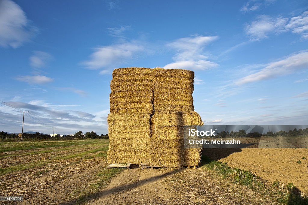 bale of straw in autumn bale of straw in autumn in intensive colors Agricultural Field Stock Photo