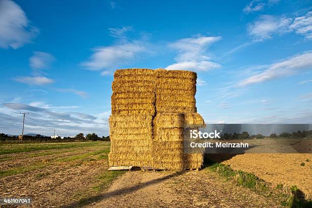 Bale Of Straw In Autumn Stock Photo - Download Image Now - Agricultural Field, Agriculture, Autumn