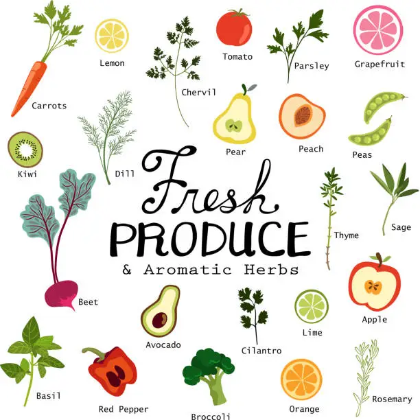 Vector illustration of Fresh Fruits and Vegetables