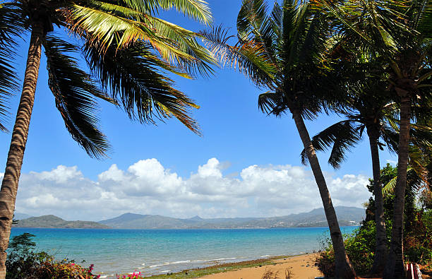 Petite-Terre, Mayotte: beach and coconut trees Pamandzi, Petite-Terre, Mayotte: beach on the Indian Ocean with coconut trees - ilôt M'Bouzi and Mahoré island in the background - photo by M.Torres comoros stock pictures, royalty-free photos & images