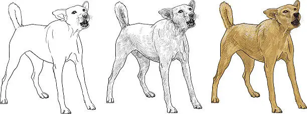 Vector illustration of Barking dog