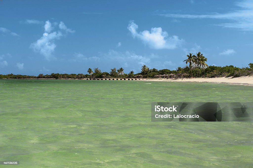 Playa Caribe. - Foto de stock de Agua libre de derechos