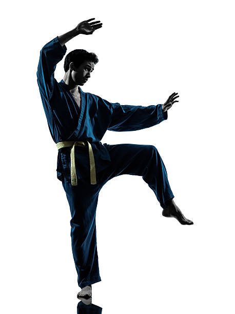 istock karate vietvodao martial arts man silhouette 461140645