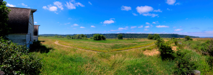 Panoramic photo composite at Nisqually Refuge and Rescue.