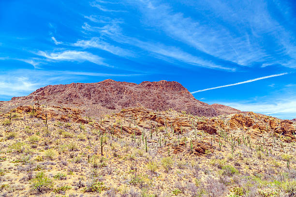 istock beautiful mountain desert landscape with cacti 461148663