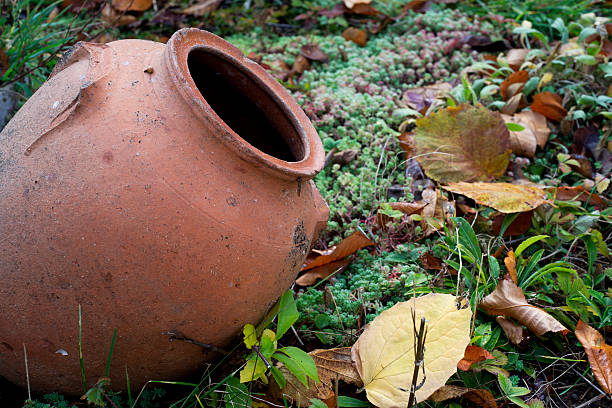 istock Old ceramic pot in the garden 461151453