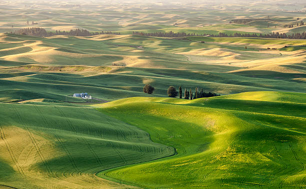 istock Silo in beautiful landscape of Palouse 461153367