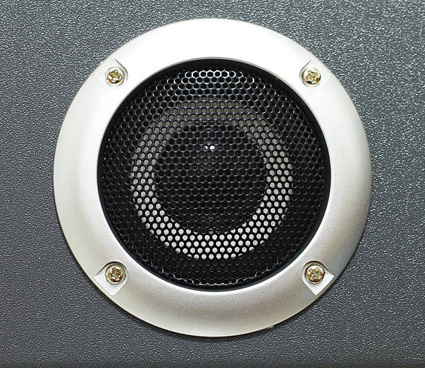 istock Closeup of black speaker 461154567