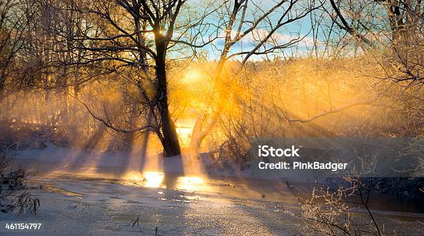 Sunbeams Filtered Through Bare Tree Stock Photo - Download Image Now - Beauty In Nature, Cold Temperature, Dawn