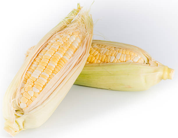 istock Fresh corn fruits with soft green leaves isolated 461156651