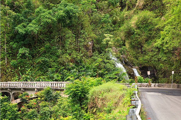 hana highway i górna waikani falls, maui, na hawajach - hana zdjęcia i obrazy z banku zdjęć