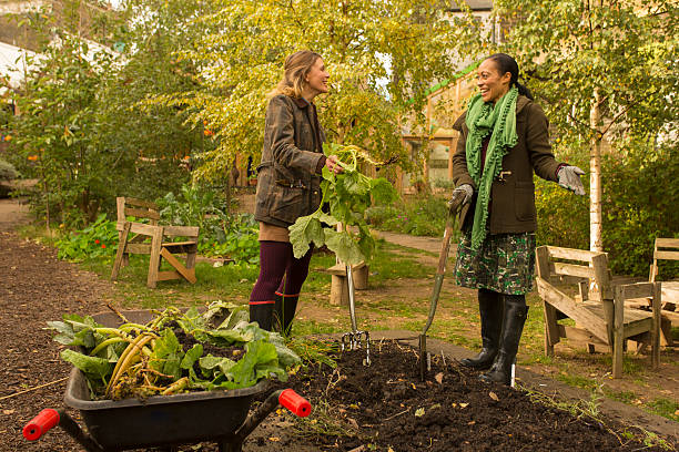 istock Young Women Digging in the Garden 461173291