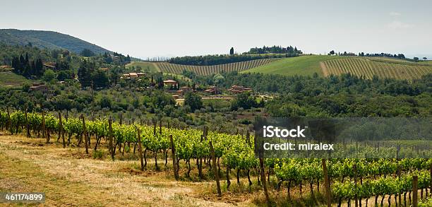 Tuscan Paisagem Com Vinhas Na Região De Chianti - Fotografias de stock e mais imagens de Ajardinado - Ajardinado, Ao Ar Livre, Beleza natural