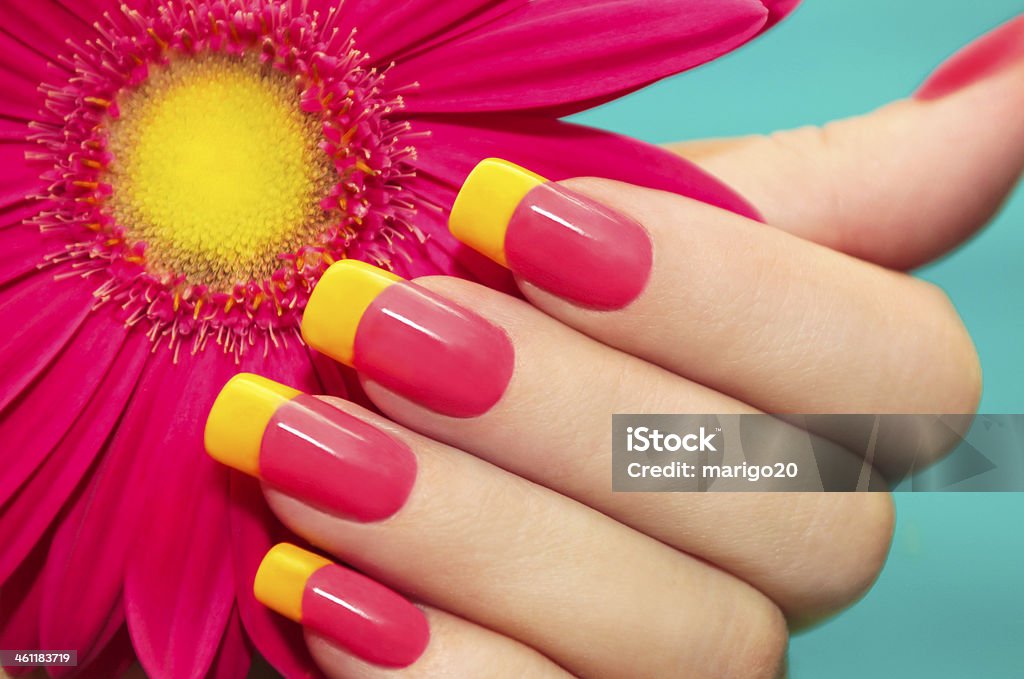 Two-tone manicure. Two-tone manicure with pink and yellow varnish with flower gerbera on a blue background. Fingernail Stock Photo