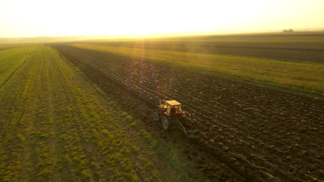 AERIAL Farmer Plowing The Field
