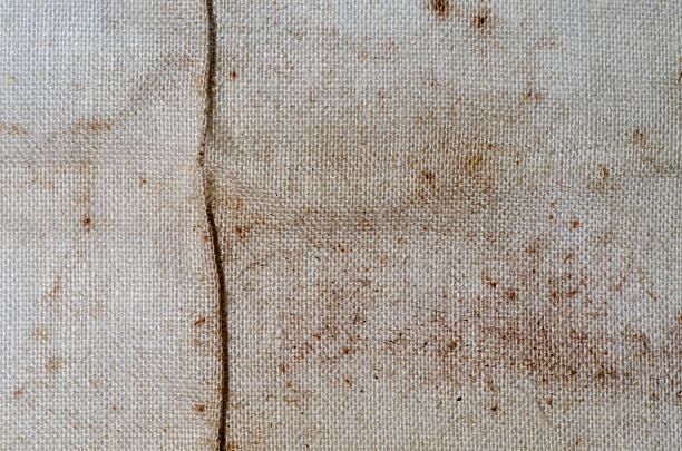 istock grunge gauze cloth texture 461187511