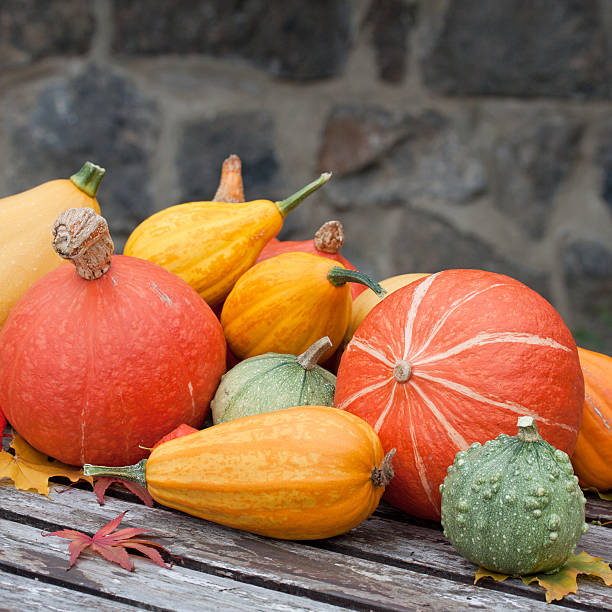 istock ornamental pumpkin mix 461190265