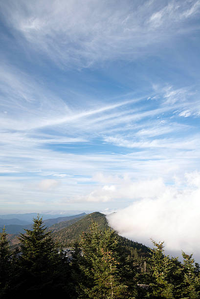 Mt. Mitchell in North Carolina View from Mt. Mitchell in North Carolina mt mitchell stock pictures, royalty-free photos & images