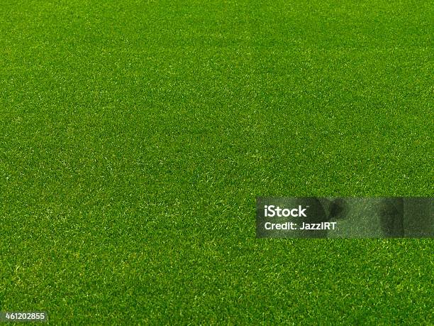 フットボールサッカーフィールドの芝生 - カラー画像のストックフォトや画像を多数ご用意 - カラー画像, コーナリング, コーナーキック