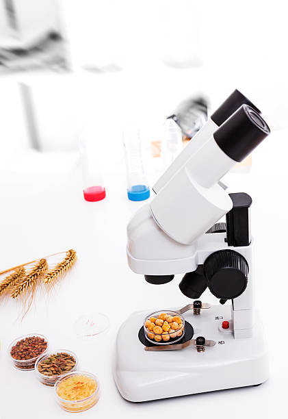 Microscope in laboratory with seed selection stock photo