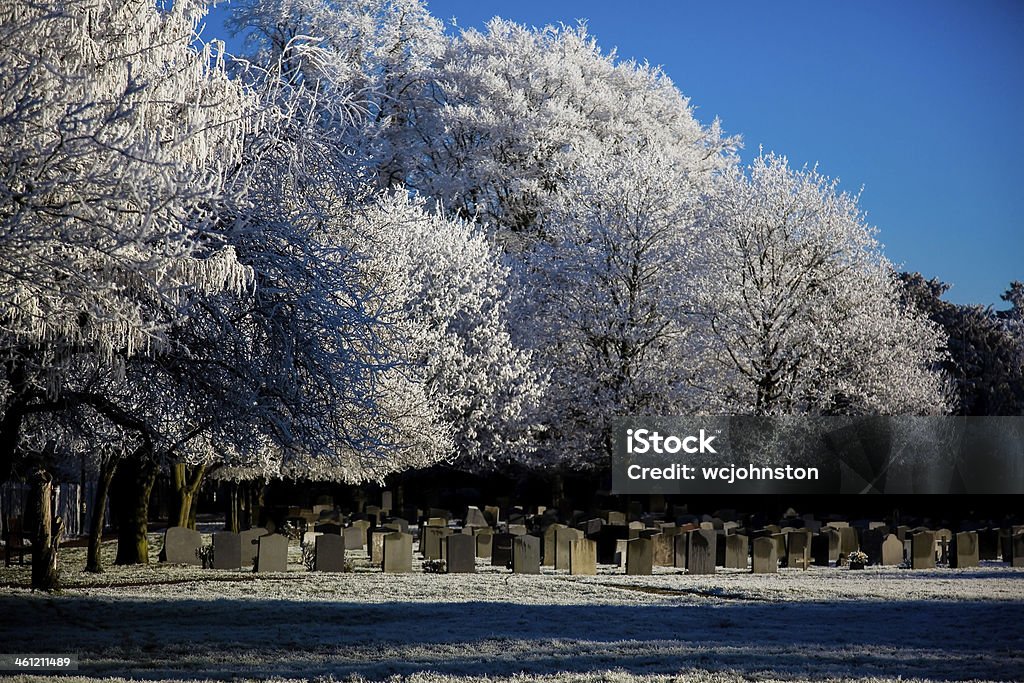 Frost in a graveyard Blue Stock Photo