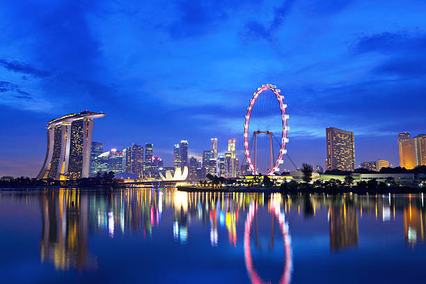 istock Singapore city skyline at night 461215869