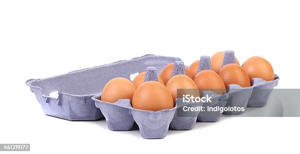 Ten Eggs In A Blue Carton Box Stock Photo - Download Image Now - Animal, Animal Behavior, Animal Egg