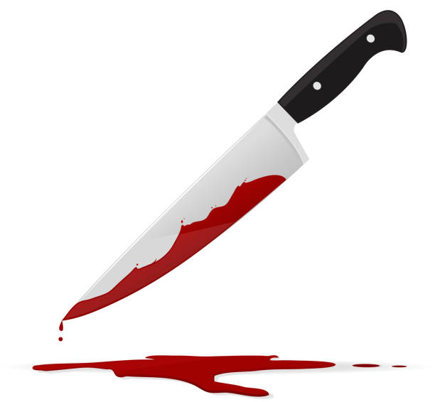 ilustrações, clipart, desenhos animados e ícones de bloody faca - knife kitchen knife isolated white background