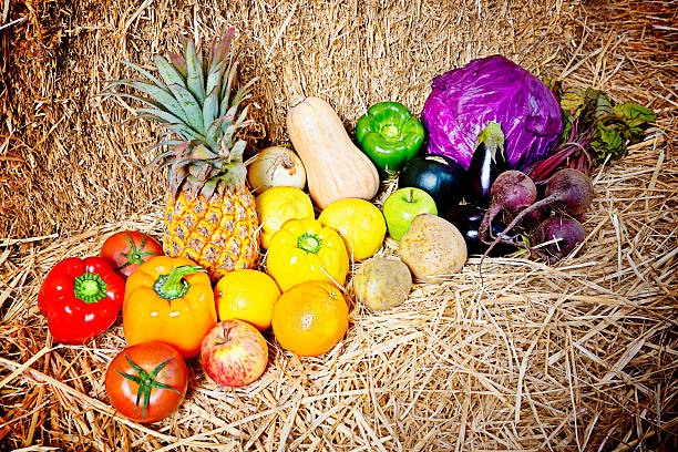 Overhead view of bright, fresh, homegrown produce on straw