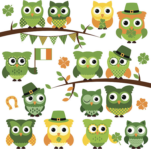 duże wektor zbiory st patrick's day tematyczne owls - owl clover stock illustrations