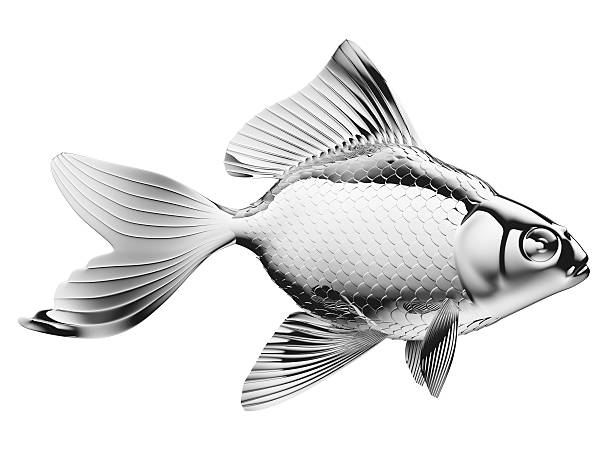 istock Silver fish with fins and scales isolated 461230559