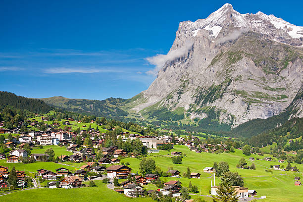 гриндельвальде и веттерхорн, швейцарские альпы - meadow vibrant color mountain range valley стоковые фото и изображения