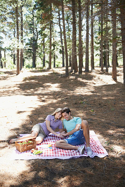 The perfect forest picnic