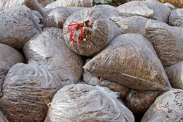 istock Huge Pile of Bagged Oak Tree Leaves 461242131