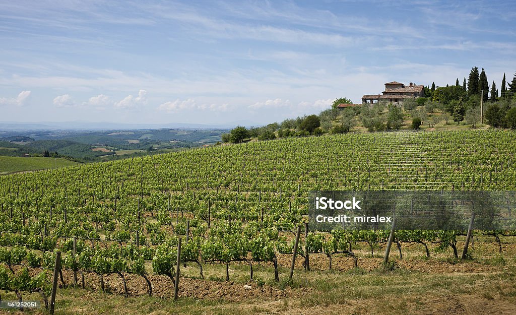 Toscane, Paysage de printemps dans la région de Chianti et les vignobles - Photo de Beauté de la nature libre de droits