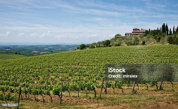 Photo libre de droit de Toscane Paysage De Printemps Dans La Région De Chianti Et Les Vignobles banque d'images et plus d'images libres de droit de Beauté de la nature