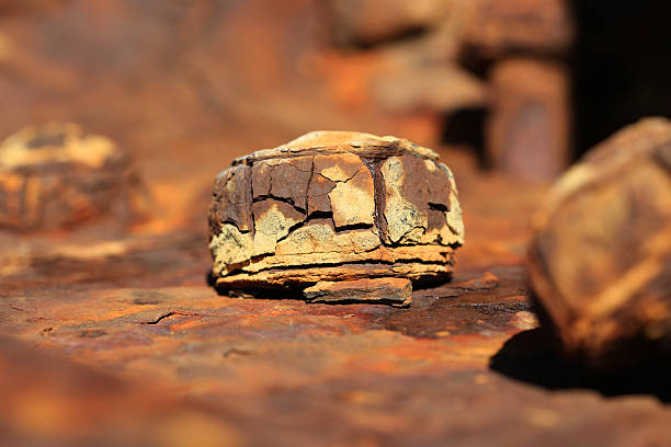 istock Close up of Rusty Bolt Head 461257915