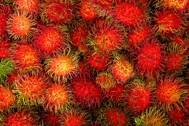 istock Tropical Fruits Rambutan 461259663