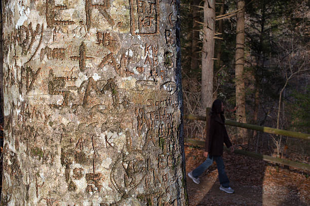 istock Graffiti carved into trail-side tree woman in shadows 461261467