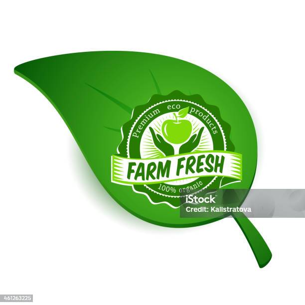 Folha Verde Com Eco Rótulo - Arte vetorial de stock e mais imagens de Alimentação Saudável - Alimentação Saudável, Biologia, Comida