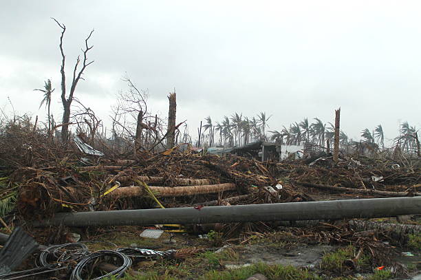 istock Trees and Electric Posts Destroyed by a Supertyphoon 461263729