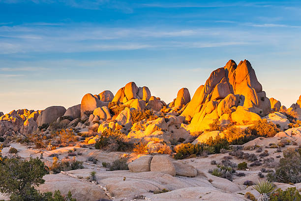 The sun setting over Joshua Tree National Park Joshua Tree National Park, Mojave Desert, California mojave desert stock pictures, royalty-free photos & images