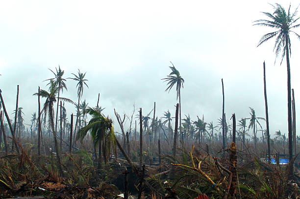 istock Typhoon Haiyan aftermath in Tacloban City 461263909