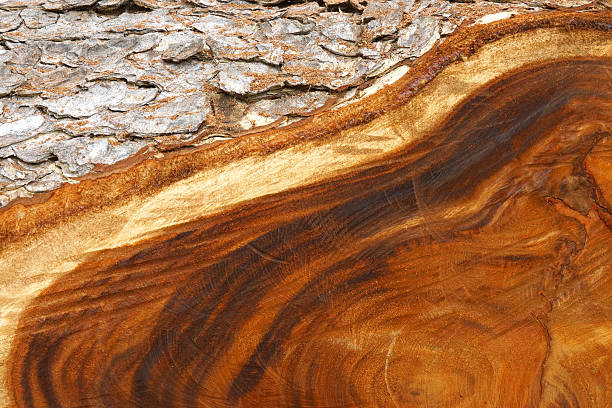 istock Patterns on the surface of wood industry. 461264599