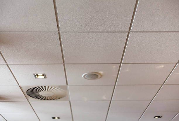 istock The white tiles of an office ceiling 461265361