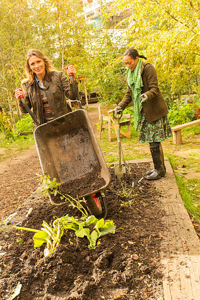 istock Young Women in the Garden 461266279