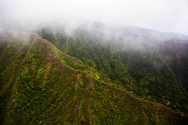 istock Misty Hawaii Volcanic Mountains 461266289