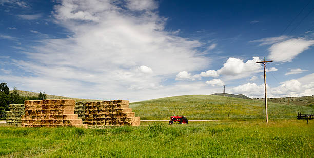 Hey Stacks with Green Hills and Blue Sky stock photo