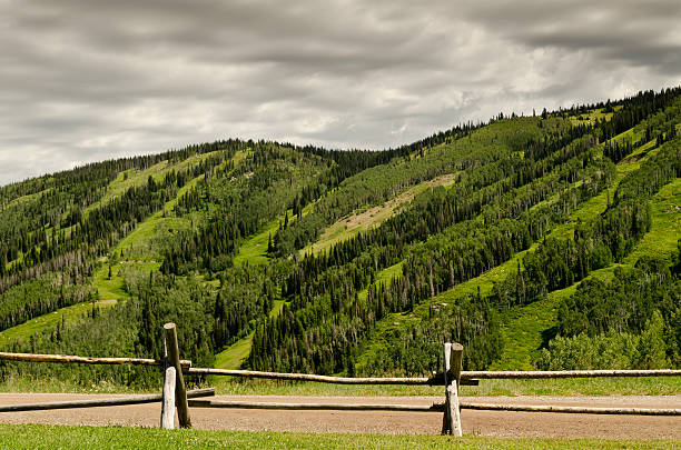 istock Top of Mountain 461268325
