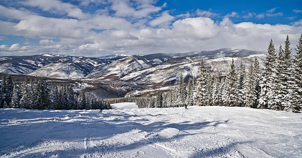 istock Winter Coniferous Forest Covered by Snow with Skiing Slopes 461268789